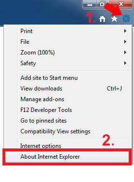 تعیین ورژن اینترنت اکسپلورر Microsoft Internet Explorer